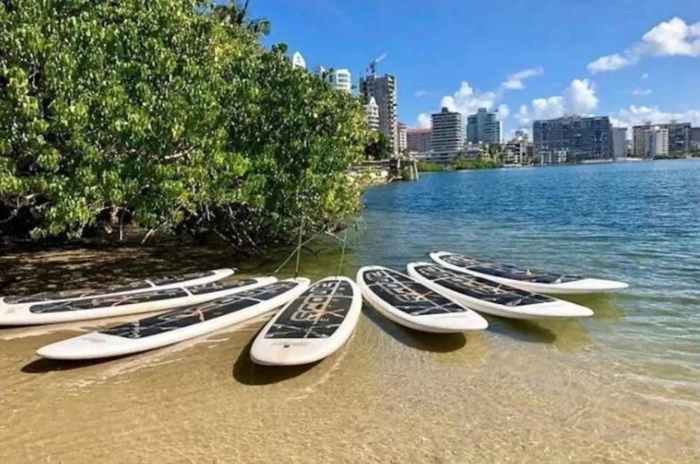 P4 Pr Rentals Condado Beach Guesthouse San Juan Portoriko